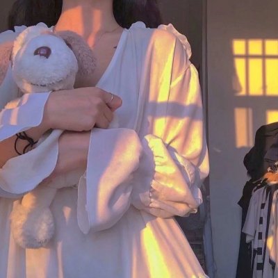 三个火枪手：达达尼昂